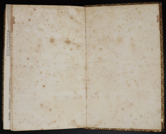 5ece0c8b-c808-421c-9ccb-f69bbc188954