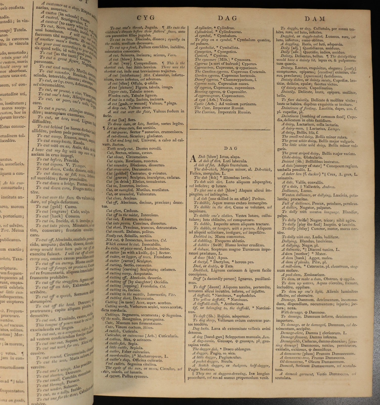 5f8583f9-b03d-4aa0-a775-3862b3e9ccaf