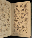 5fe90ecf-6615-48ef-a016-593913c14053