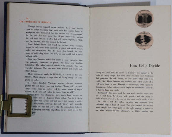 1965 All About Heredity by Judith Randal Vintage Medical Reference Book