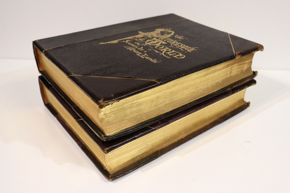 1878 2vol Picturesque World Scenes In Many Lands Antiquarian Book Set Engravings