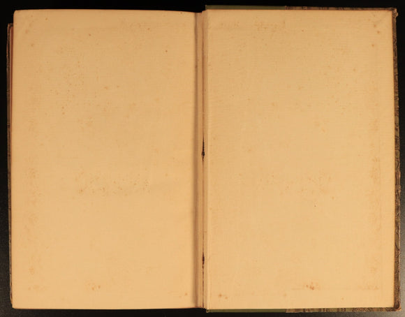 The Poetical Works Of Percy Bysshe Shelley c1895 Rossetti Antique Poetry Book