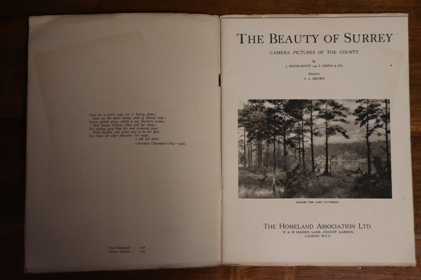 1934 The Beauty Of Surrey Antique British Natural History Book Dixon-Scott