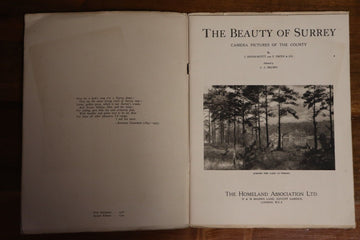 1934 The Beauty Of Surrey Antique British Natural History Book Dixon-Scott - 0