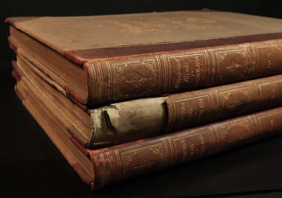 6150e6d2-ce40-4aaf-9a92-10f73ead94d1