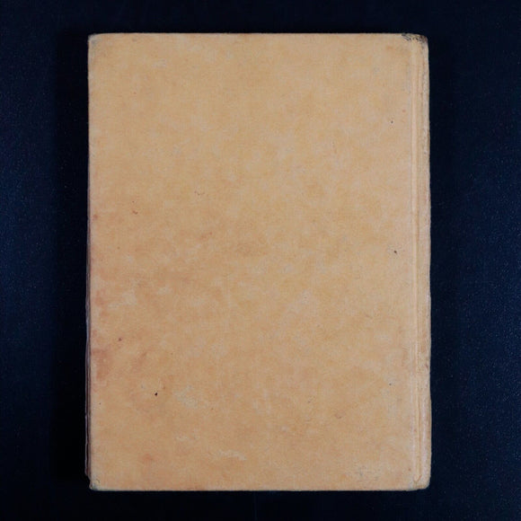 c1920 The Tale Of Mr Tod by Beatrix Potter Antique Childrens Book Illustrated