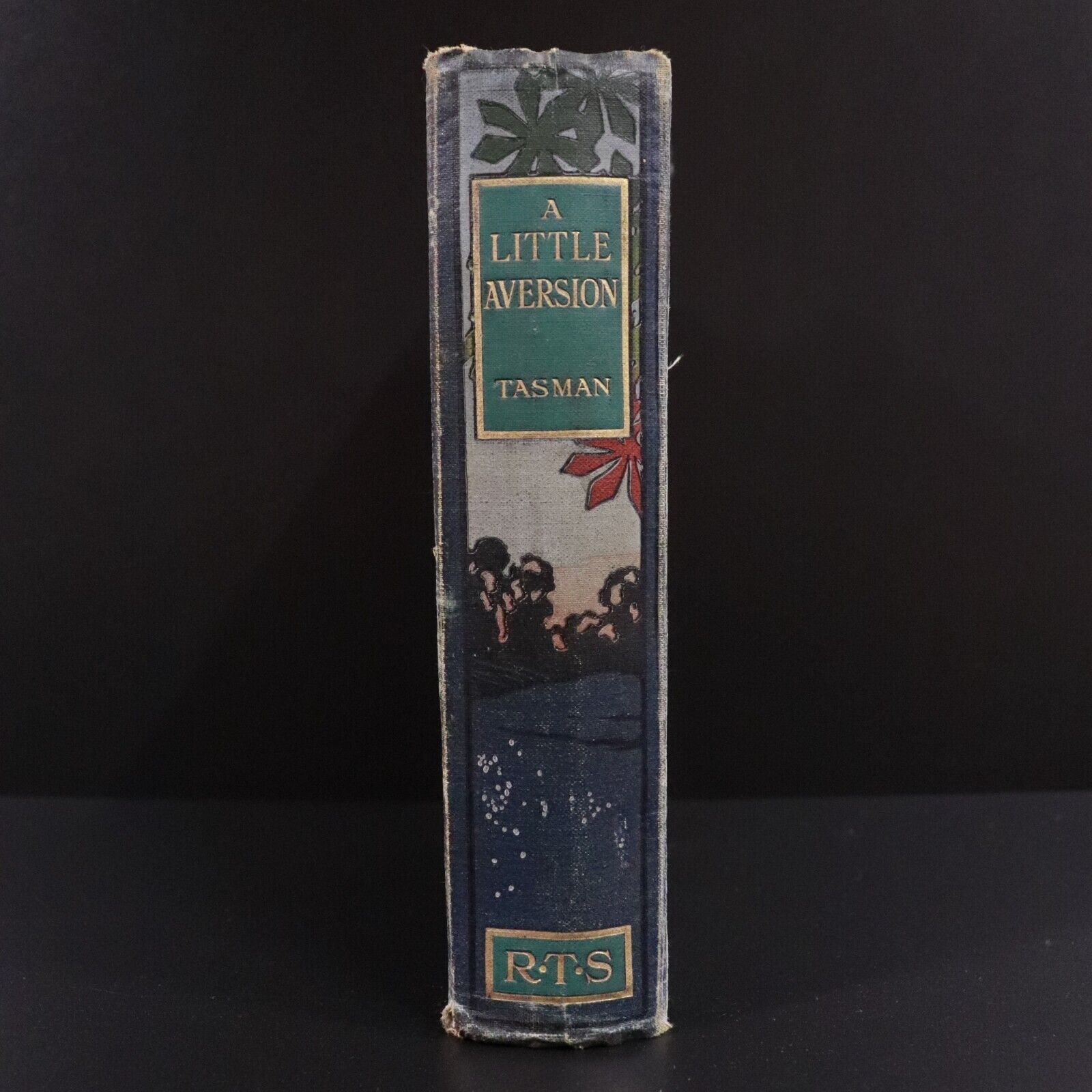 c1910 A Little Aversion by Tasman Illustrated Australian Fiction Book