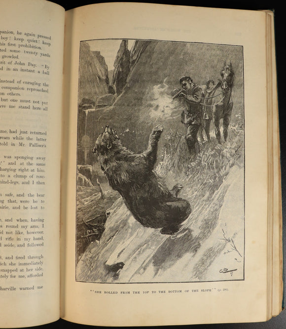 61f5a40c-1fd8-44db-bcd1-a87baac2dcba