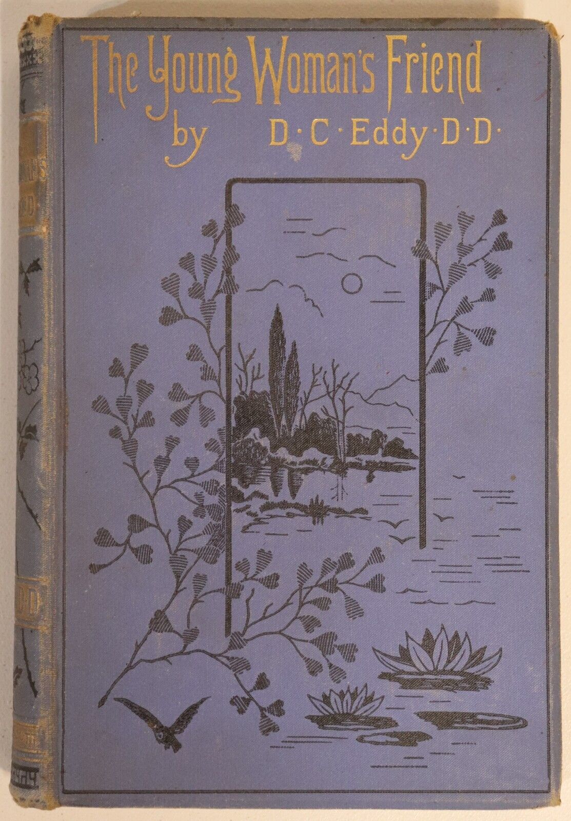 1886 The Young Woman's Friend by D.C. Eddy Antique Social Commentary Book