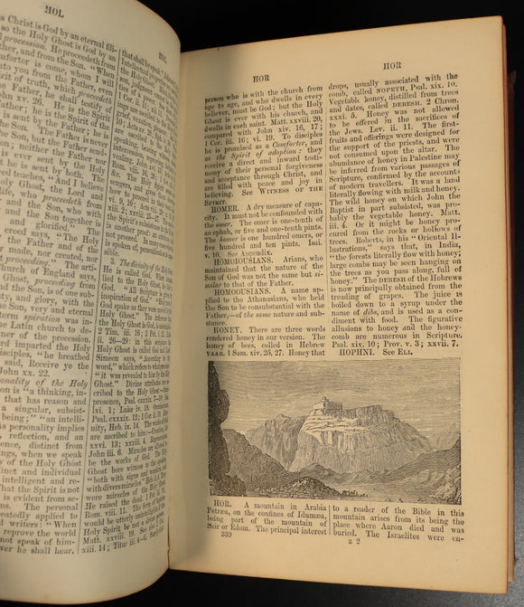 62ea24b5-deae-4d98-9118-e8796cfdf379