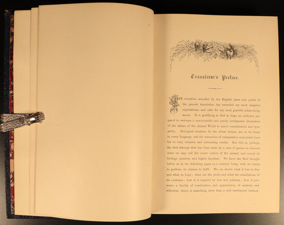 The Bird by Jules Michelet & Giacomelli 1895 Antique Natural History Book Gilt