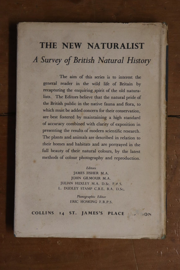 64092a18-d798-4205-ac60-833a76aaa899