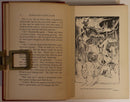1898 The Spirit Of The Bush Fire: J Whitfeld Antique Australian Fiction Book-4