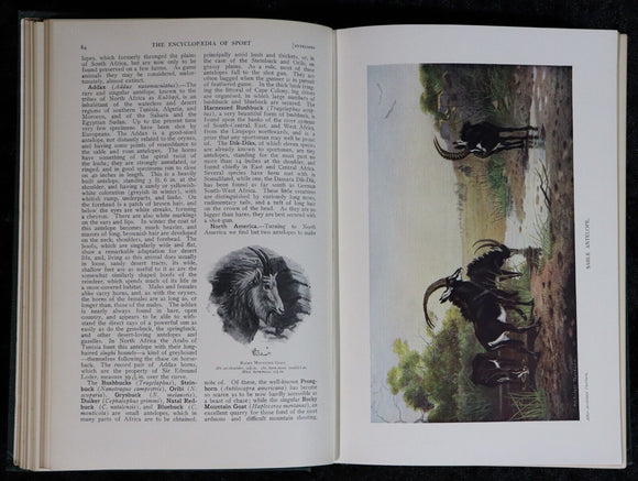 1911 4vol The Encyclopaedia Of Sport & Games Antique Book Set