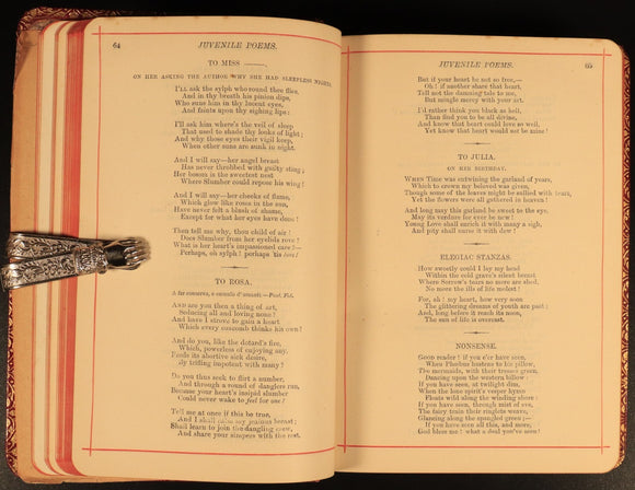 c1905 The Poetical Works Of Thomas Moore Illustrated Antique Irish Poetry Book