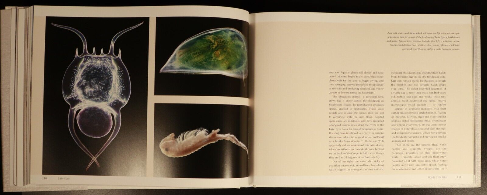 2011 Lake Eyre Heart Of The Continent by Paul Lockyer Australian History Book