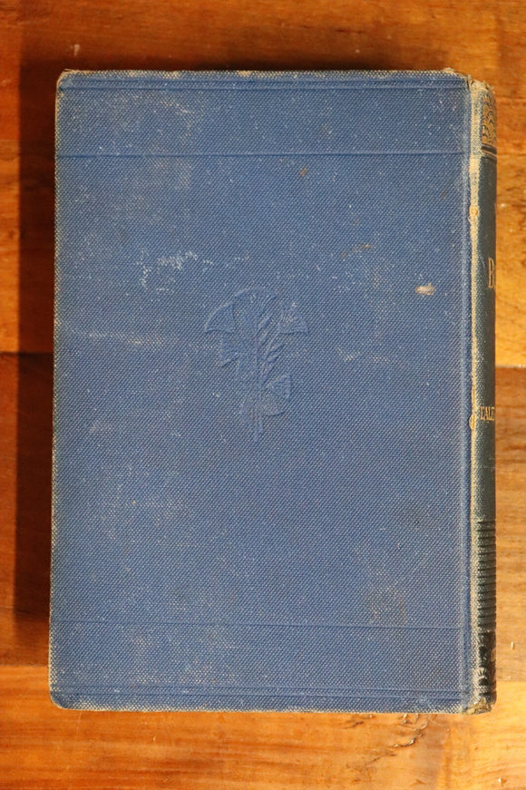 656389da-91b3-456f-9078-b6da67903259