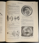 66807423-8182-4bba-af80-31307bb73e9d