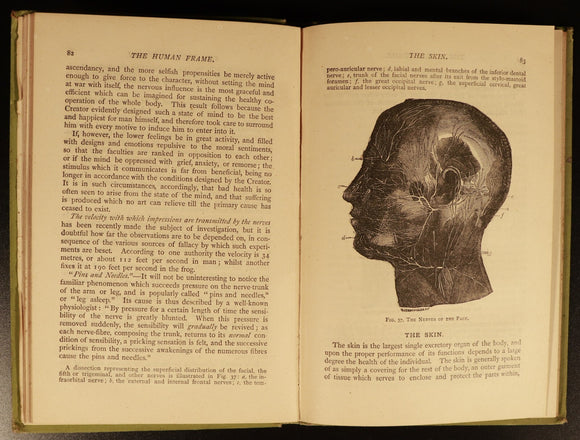 68f9dd2e-280f-431a-8446-11a94c0cf17d