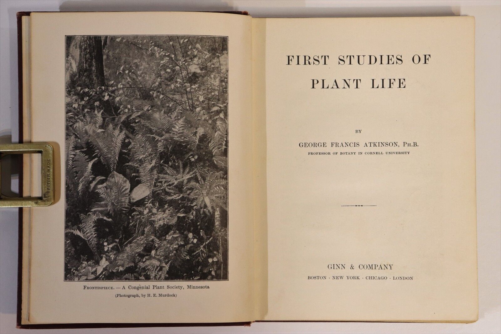 1901 First Studies Of Plant Life by GF Atkinson Antique Natural History Book - 0