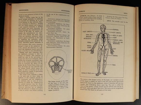 6a42c5a7-6cd4-476f-a3e4-044a001d7be0