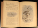 The Bird by Jules Michelet & Giacomelli 1895 Antique Natural History Book Gilt-11