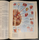 6ae960f1-d863-4a89-b912-a1a3902a8622