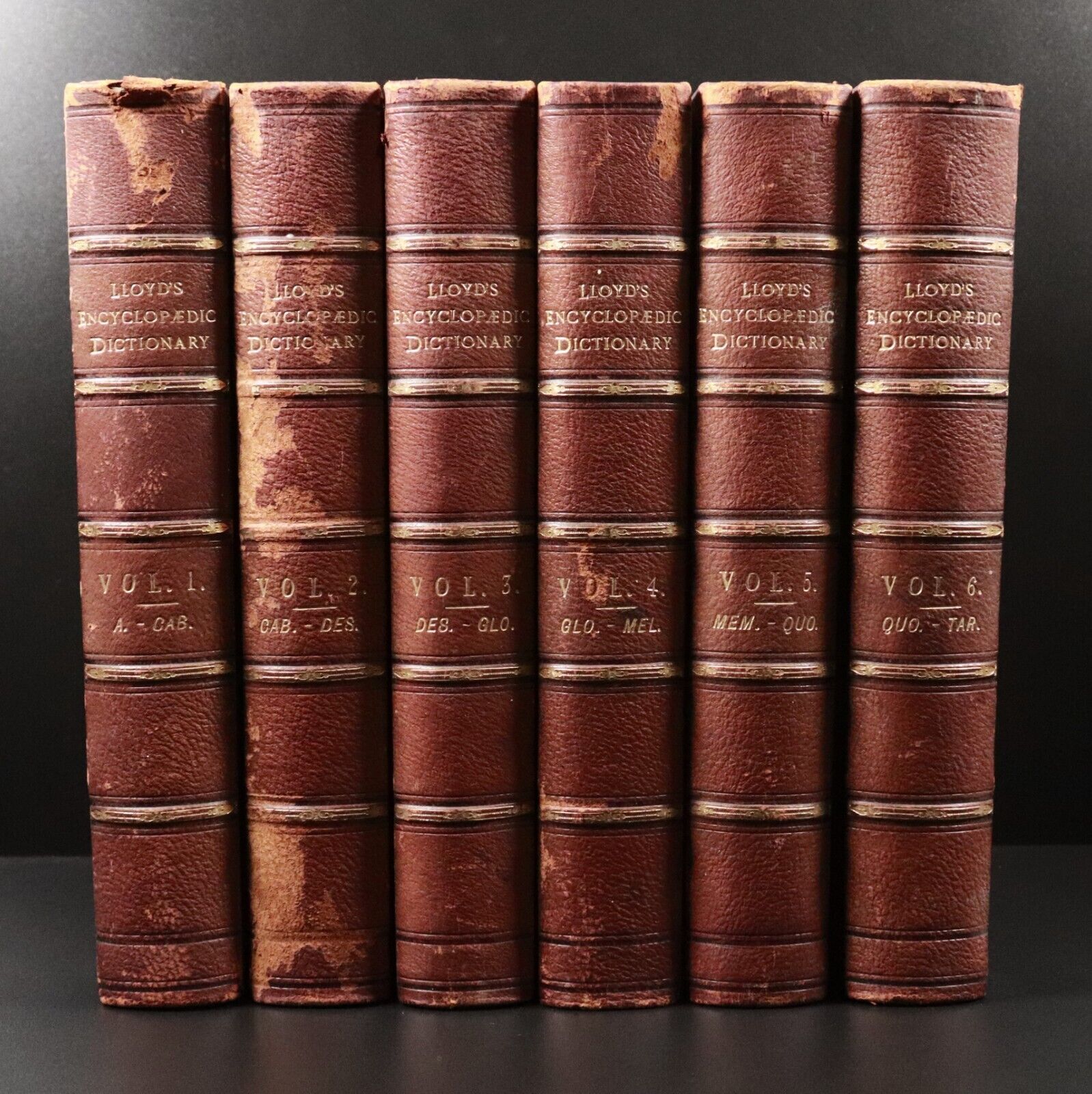 1895 6vol Lloyd's Encyclopaedic Dictionary British Antiquarian Reference Books