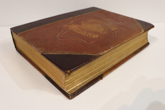 1884 Picturesque Ireland by John Savage Antiquarian Irish History Book Leather