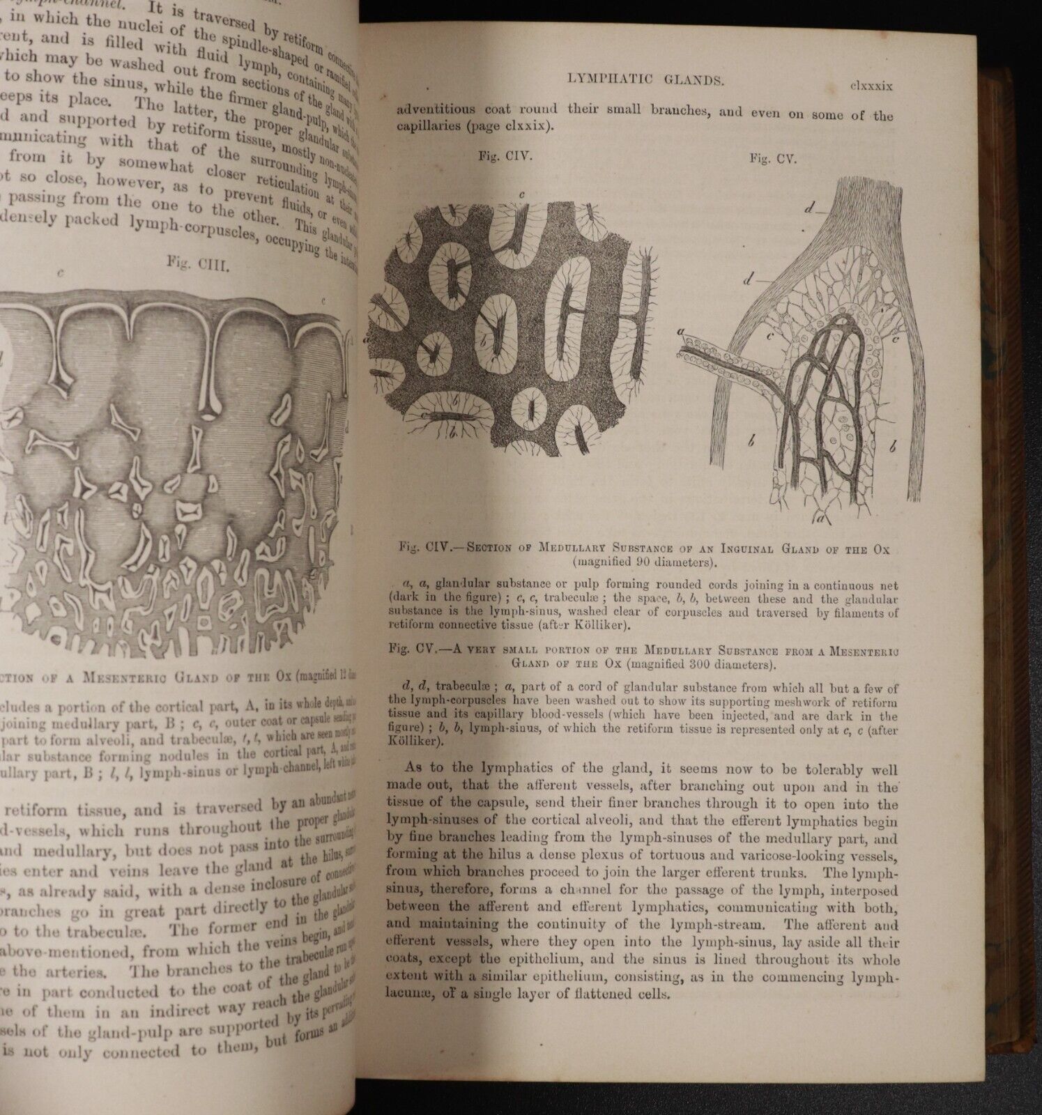 1867 Quain's Elements Of Anatomy Illustrated Antiquarian Medical Reference Book