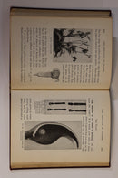 6b4590d8-cf07-42bd-918b-48c8471ed44c