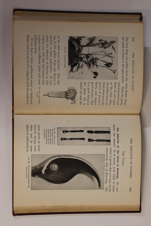 6b4590d8-cf07-42bd-918b-48c8471ed44c