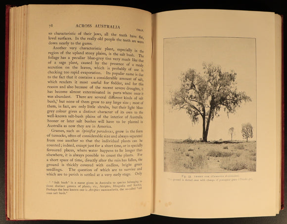 1912 Across Australia by B Spencer & FJ Gillen Antique Australian History Books