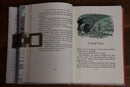 1963 At The Back Of The North Wind by G MacDonald Vintage Fiction Book-4
