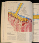 6e3dedad-9bed-401d-bc0b-6bb5b35c04d9