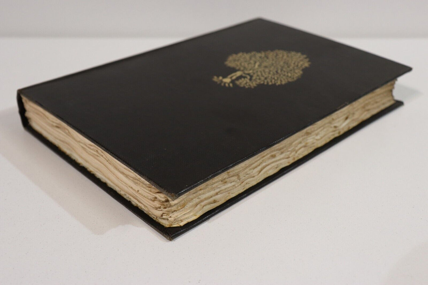 6ef5a578-ae50-447d-987f-852c30c7dd52