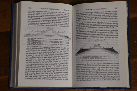 1987 The Voyage Of The Beagle: Charles Darwin Natural History Exploration Book