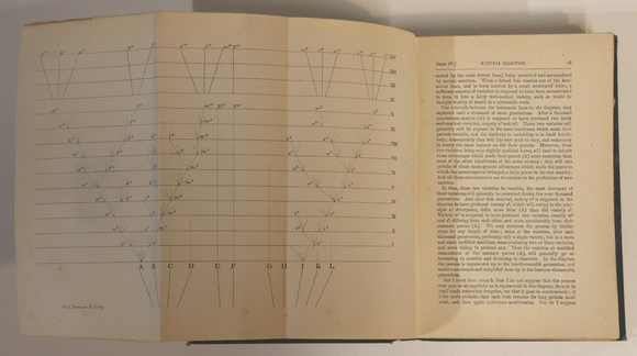 6f8535a5-e0de-42ef-8414-ec9335e34903