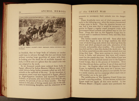 1927 Animal Heroes Of The Great War WW1 Military History Book by E.H. Baynes