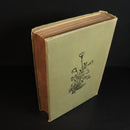 6ff5748c-08b8-48cc-8509-3e8aa0780c81