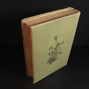 6ff5748c-08b8-48cc-8509-3e8aa0780c81