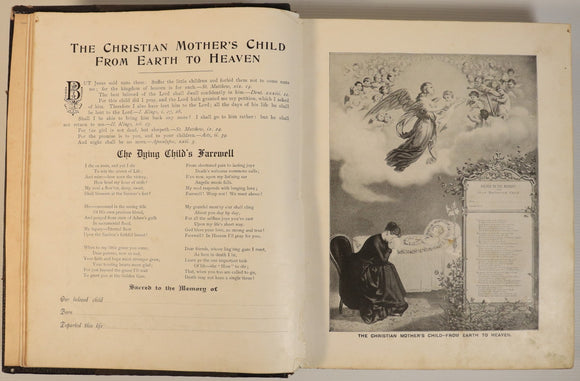 700cd27e-7ffd-40d3-b5fe-307b4c860614