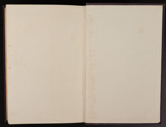 c1909 Will Aylmer Tale Of Australian Bush by L. Bogue Luffmann Fiction Book