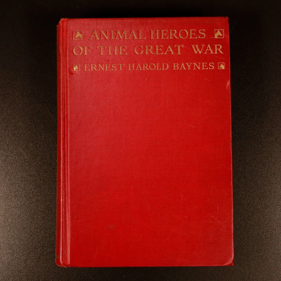 1927 Animal Heroes Of The Great War WW1 Military History Book by E.H. Baynes