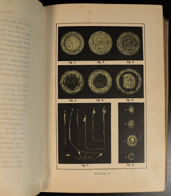 710bff36-413d-4aac-838a-85a7cf6bd3ad