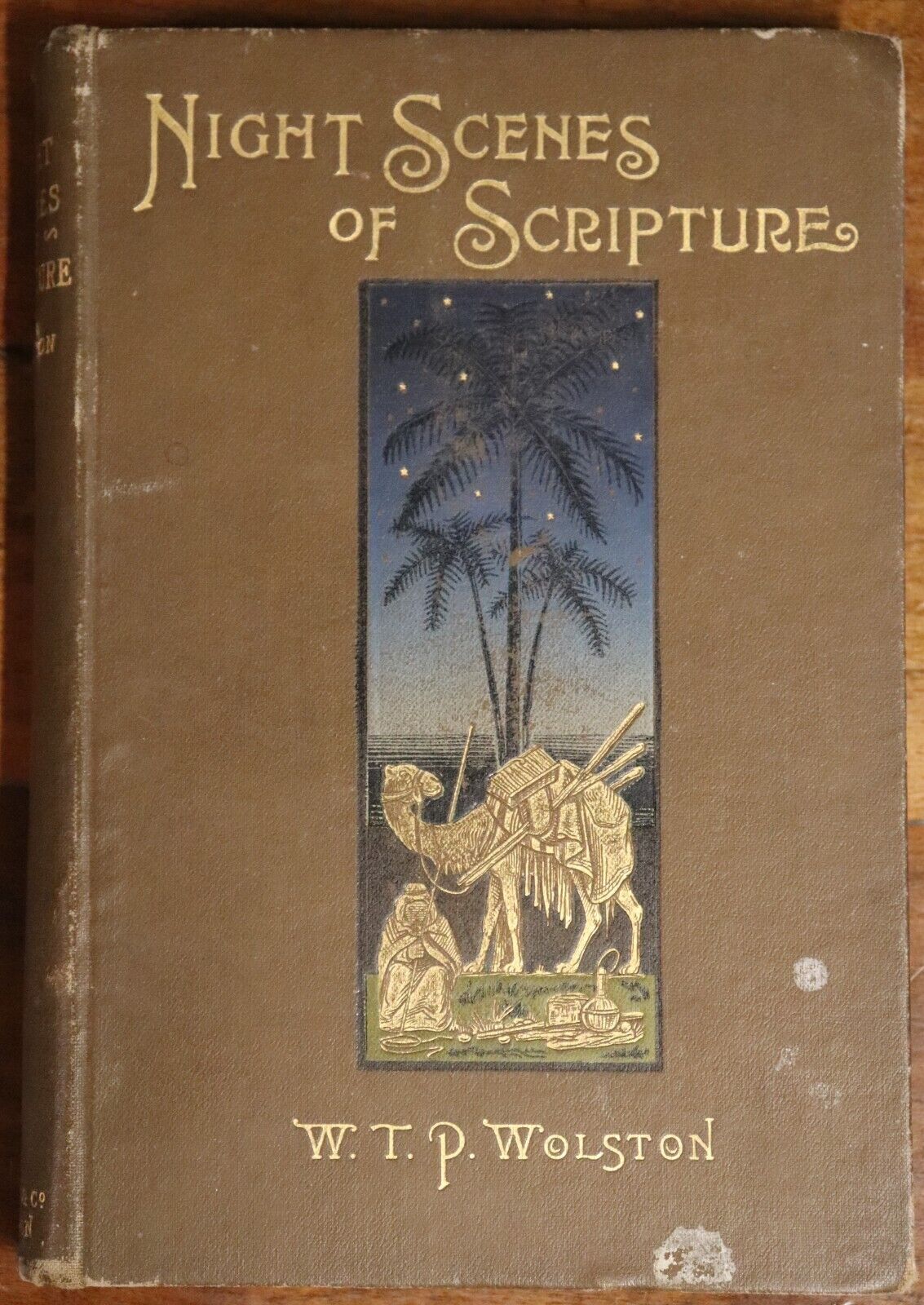 1896 Night Scenes Of Scripture by WTP Wolston Antique British Theology Book