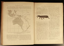 1889 Our Earth & Its Story by Robert Brown Antique Natural History Book w/Maps-10