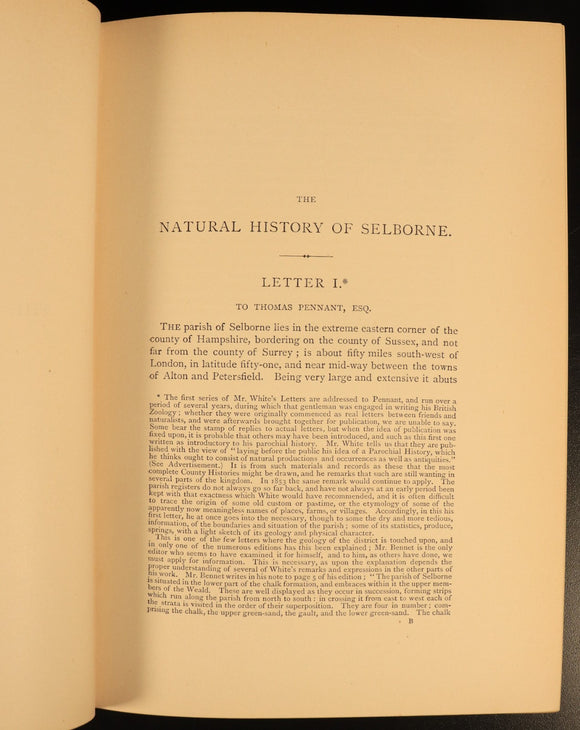 732c9293-dc2e-4103-b54d-be01cc5eb1b2