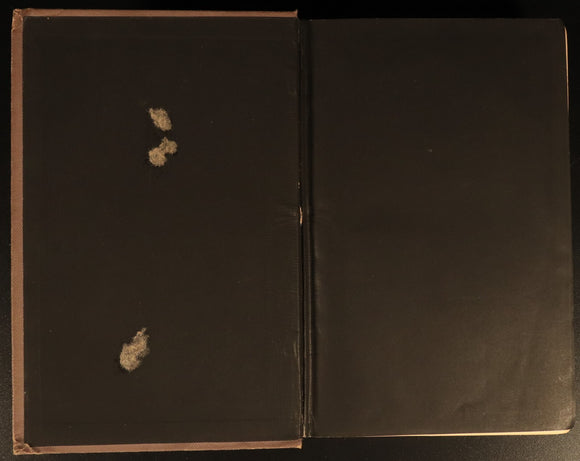 1891 Charles Kingsley Letters & Life British Religious History & Biography Books