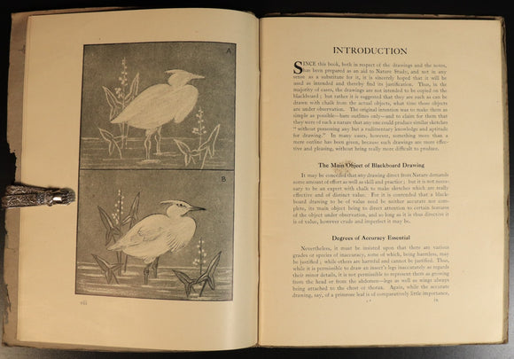 749acf34-6052-4428-b8e1-303701d4f645